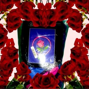 Brand new Hot Topic Disney Beauty and Beast throw